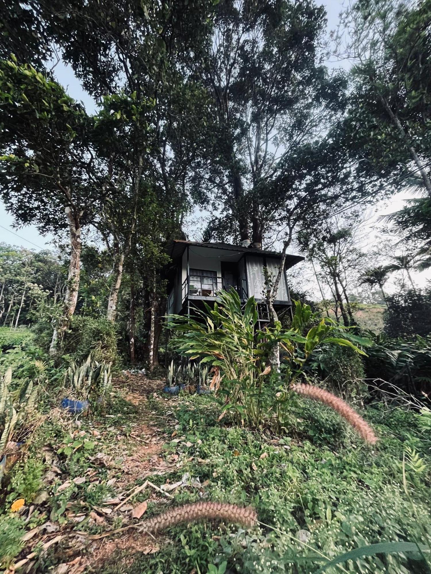 Вілла Silent House Kudayattur Екстер'єр фото