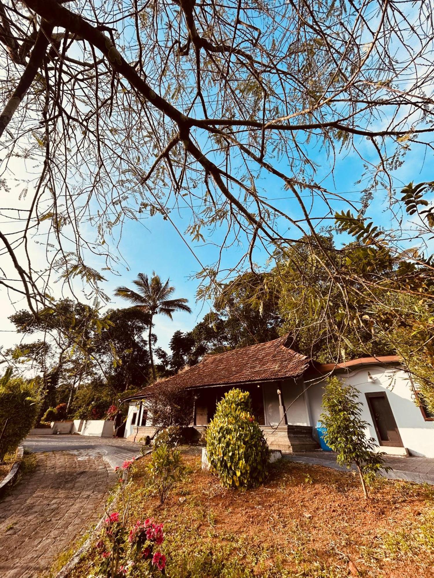 Вілла Silent House Kudayattur Екстер'єр фото